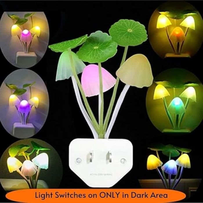 Li's Product Image